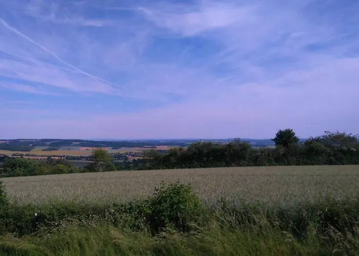 Le Vol Du Papillon